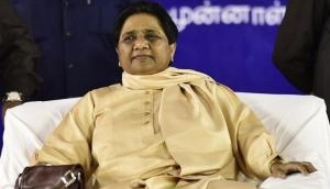 Supreme Court orders BSP supremo Mayawati to reimburse money spent on Elephant statues, party on backfoot