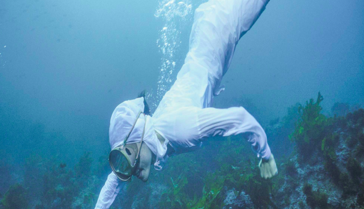 Ama-Divers-Japan