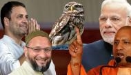 Neither Modi-Yogi nor Rahul and Owaisi but 'Owl' will decide the fate of assembly elections! Details inside