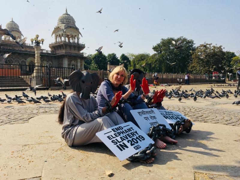 PETA Founder Ingrid Newkirk Demands Ban on Elephant Rides