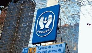 If you are an LIC insurance policy holder, prepare to bear these losses