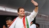Rahul Gandhi extends wishes on Holi: Festival represents every colour of diversity of country