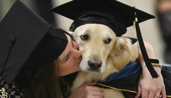 Dog Gets Honorary Degree