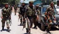 Militant hideout busted in J&K's Shopian