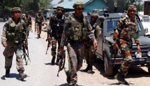 Militant hideout busted in J&K's Shopian