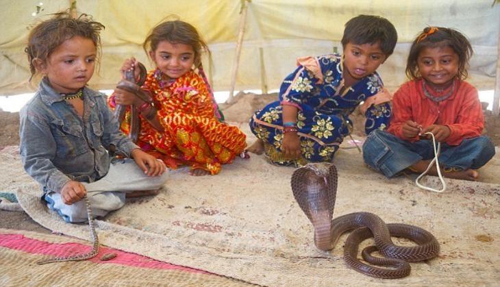 snake-village-shetphal