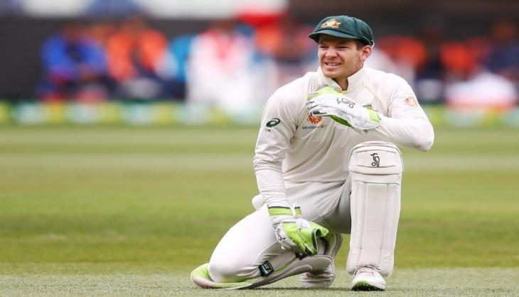 tim paine
