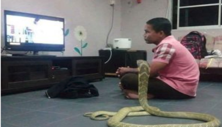 Man married Cobra