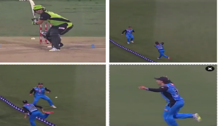 big bash