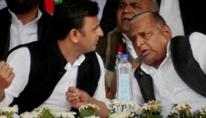 Forged alliance with BSP to ensure 'netaji' wins LS polls with record votes: Akhilesh Yadav