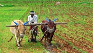 Delhi to introduce MSP for farmers based on Swaminathan Commission Report