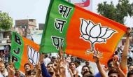 Goa BJP finalises names of candidates for state's 2 Lok Sabha seats