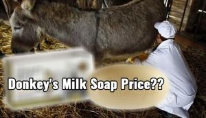 Have you ever heard about Donkey's milk soap? Check out its whopping price and benefits