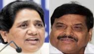 Shivpal Singh Yadav claims everyone knows BSP supremo Mayawati 'sell tickets'