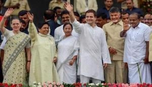 Karnataka CM HD Kumaraswamy backs Rahul Gandhi for PM, says, 'We want Congress president to lead the nation'