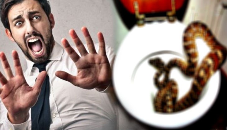OMG! A photo of a huge python found inside the toilet commode will haunt you forever! See the viral pic