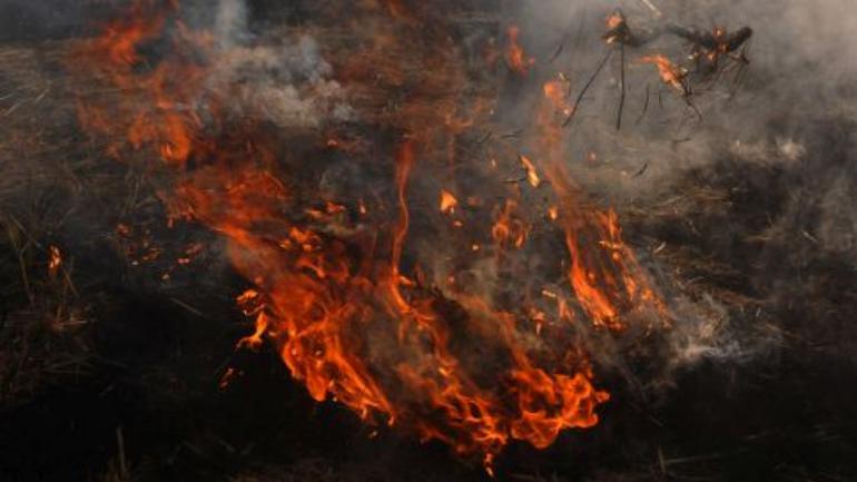 Karnataka: Horrifying! 3-year-old-old girl playing hide-and-seek with brother, charred to death in haystack