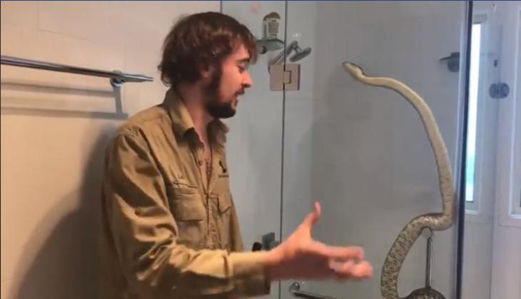 Python in the bathroom