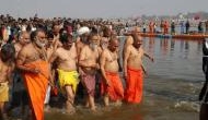 Identity flags of priests at Kumbh resemble symbols of political parties