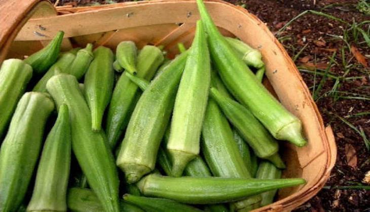 ladyfinger