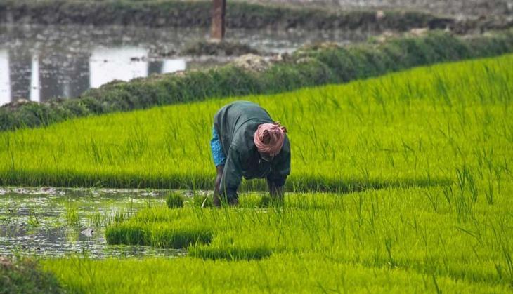 farmer
