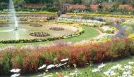Mughal Gardens 2019: Check out the opening time, nearest metro and know other itinerary plan before visiting garden