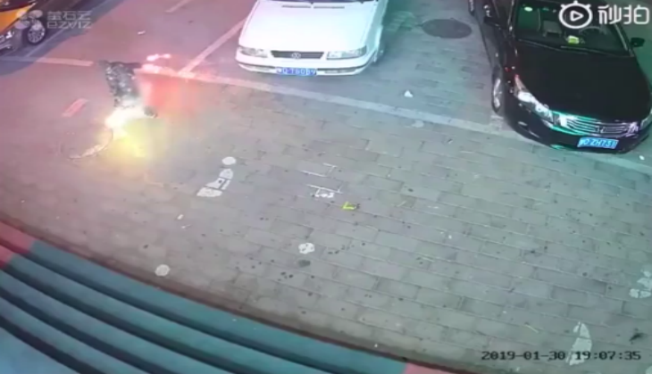 viral video