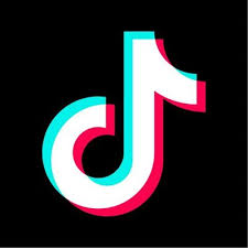 TikTok launches the #SafeHumSafeInternet campaign