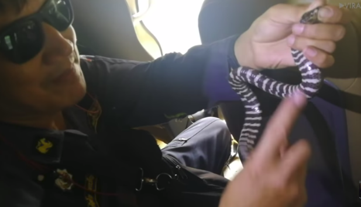 snake viral video