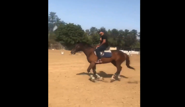 Shikhar Dhawan riding a horse before Australia's tour of India, takes motivation for 2019 World Cup; see video