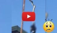 Watch this viral creepy video of python and bird fighting on TV antenna