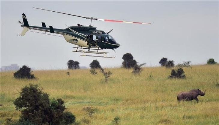 Helicopter