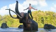 Junglee Trailer out, Vidyut Jammwal is hero of Jungle in Chuck Russell's film
