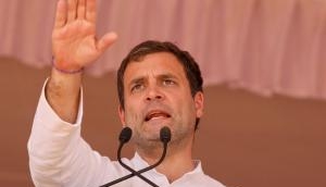 Rahul Gandhi in Gujarat: 'Anil Ambani can't even make a paper plane'
