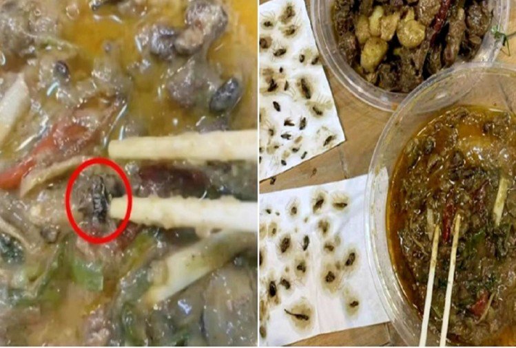 Eww! Woman orders food online, finds ‘40 dead’ cockroaches in dish; horrifying video goes viral