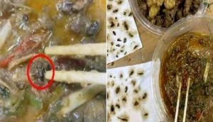 Eww! Woman orders food online, finds ‘40 dead’ cockroaches in dish; horrifying video goes viral