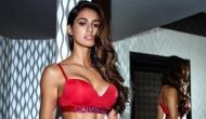 Malang actress Disha Patani looks sizzling hot in her bikini photoshoot for a brand; see inside
