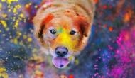 Holi 2019: Keep your pets safe from colours by following these simple steps!