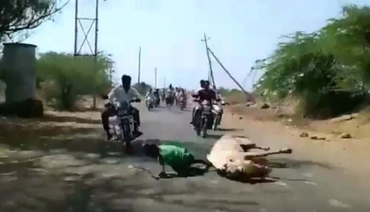 Horse Riding