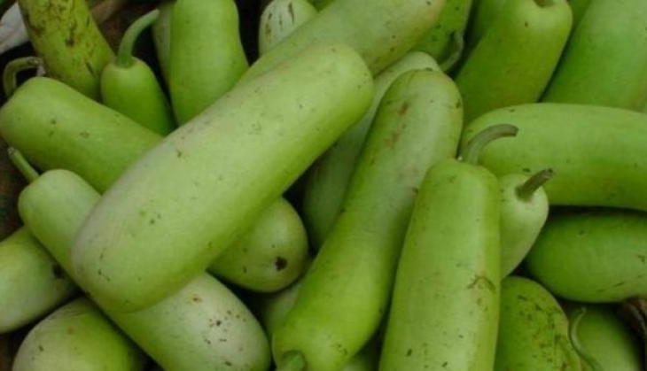gourd