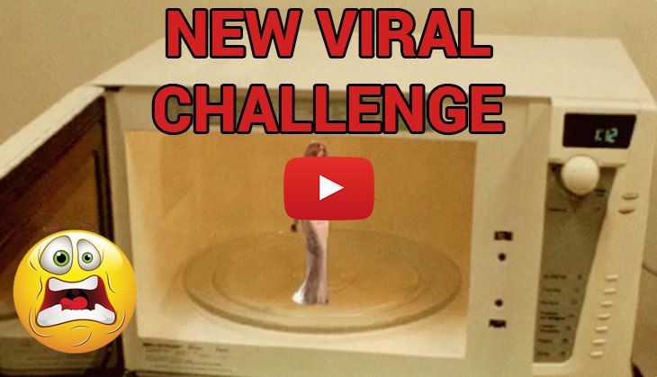 Have you see this bizarre challenge that will realise as you are sitting in a microwave? See viral videos