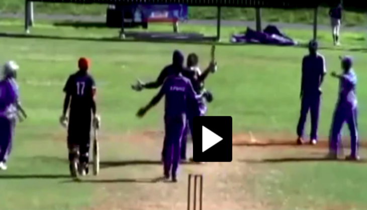 cricket fight