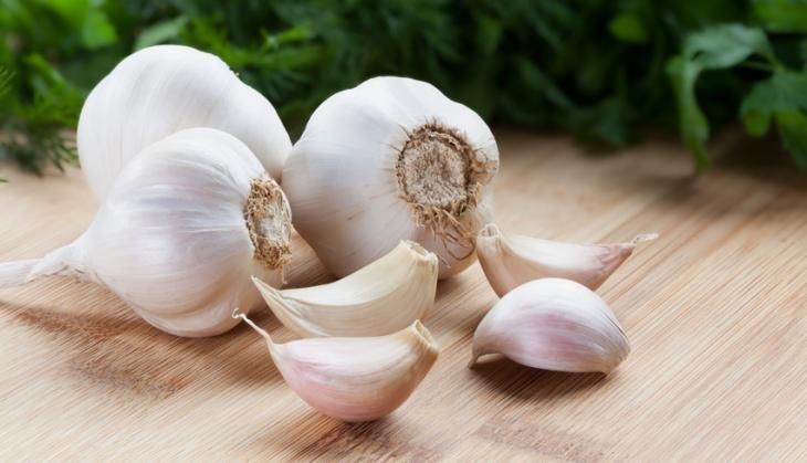 garlic