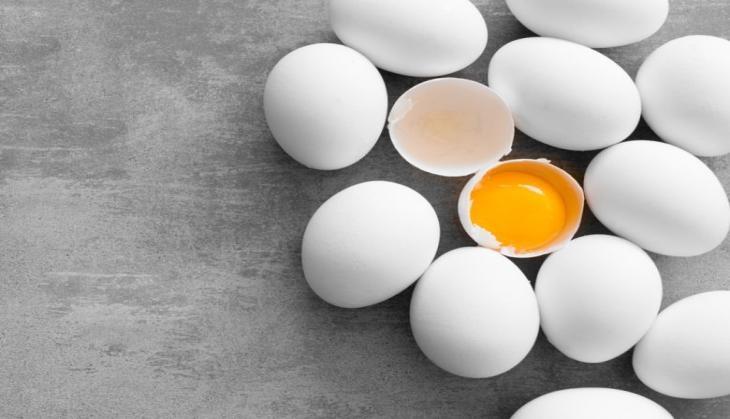 EGG