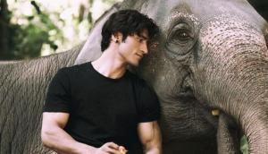 Junglee Box Office Collection Day 2: Vidyut Jammwal starrer film gets decent growth on second day