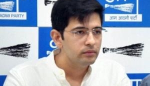 AAP leader Raghav Chadha on LS polls; Delhiites would vote on basis of development issues