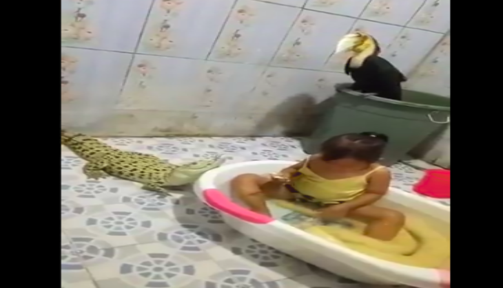 little girl with python and crocodile