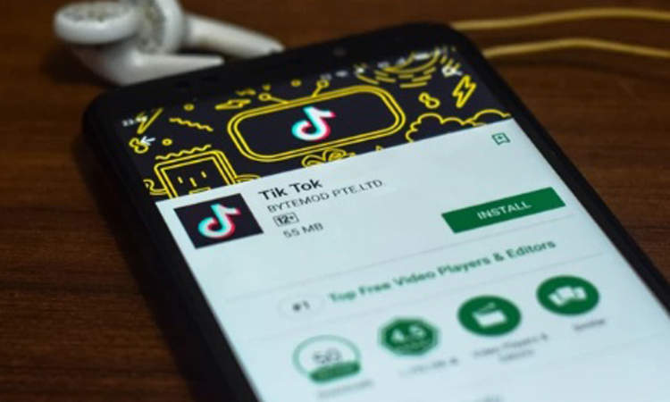 ‘TikTok encouraging pornography’, Madras HC tells Centre; seeks ban on Chinese video app