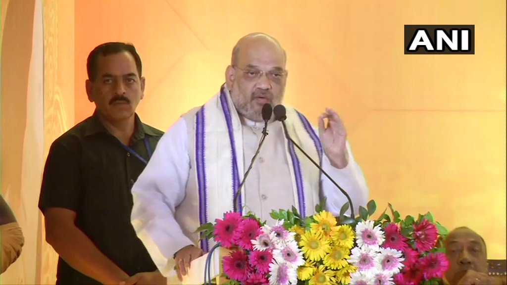  If 'Modi govt' formed, India will be free from 'immigrant problems': Amit Shah