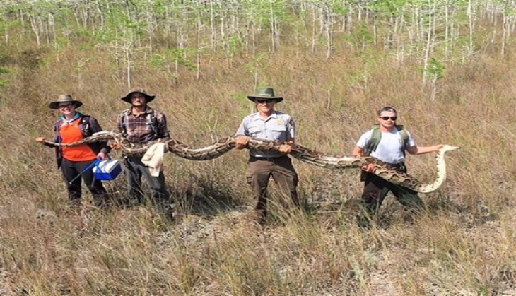 Python